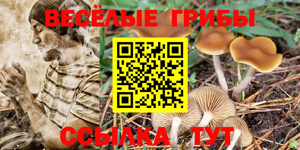 Галлюциногенные грибы мухоморы Мценск