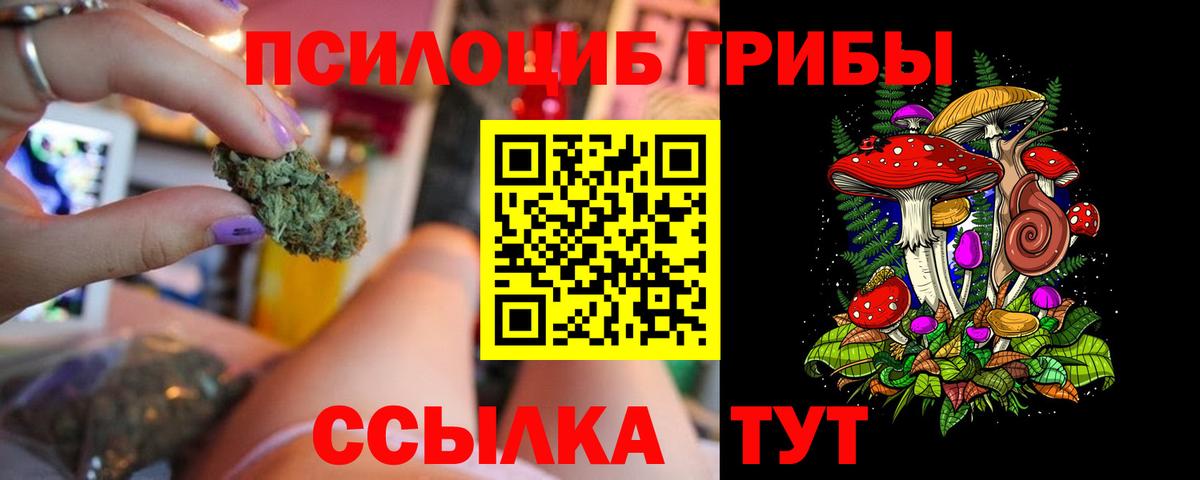 Галлюциногенные грибы мухоморы  купить наркотик  Галлюциногенные грибы мухоморы  Мценск  Вход с VPN 
